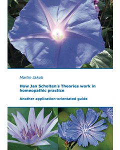 How Jan Scholten's Theories work in homeopathic practice